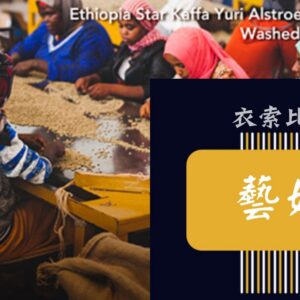 衣索匹亞 藝妓 【日曬】