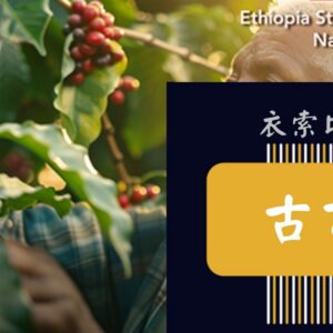 衣索匹亞 谷吉【日曬】