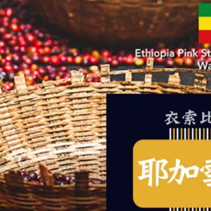 衣索比亞 耶加雪菲【日曬】