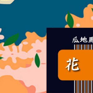 瓜地馬拉 花神【水洗】