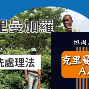 坦尚尼亞 克里曼加羅AA【水洗】